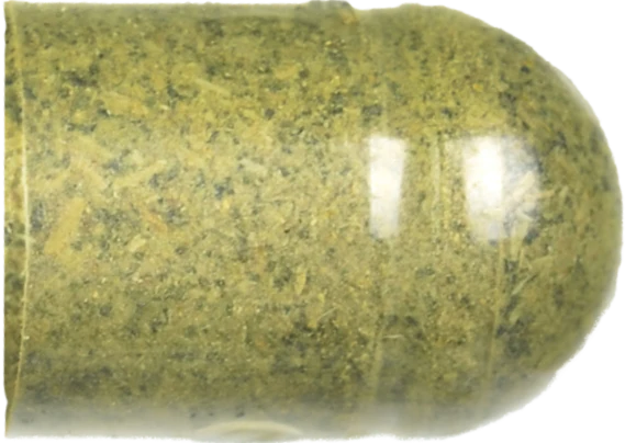 Pill right half