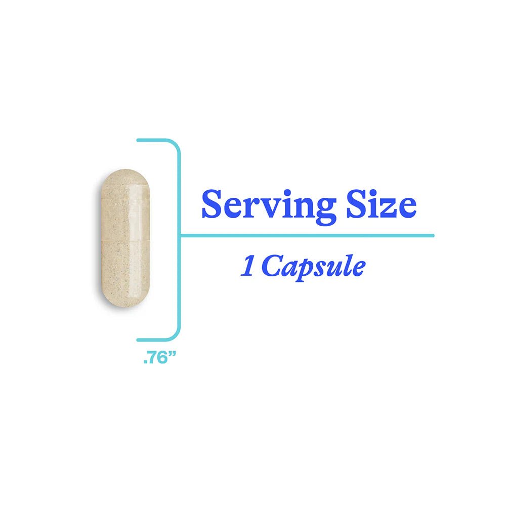 Seeking Health Phosphatidyl Serine - Short Dated Discount 31.03.2026 - Pure Nordic Health